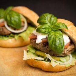 Juicy HAMBURGERS (in Zero Carb rolls)